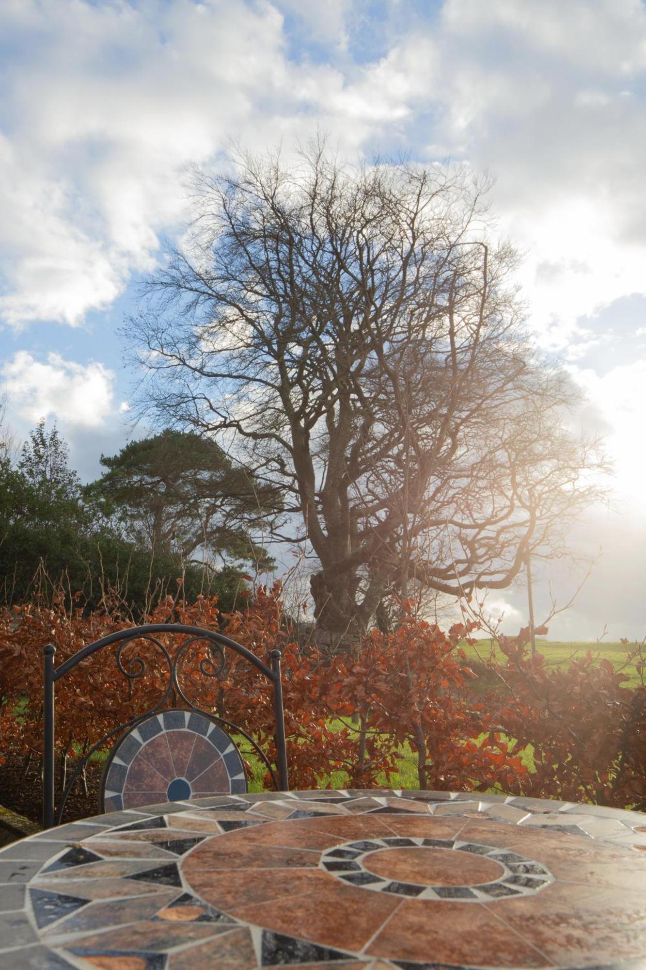The Stone Cottage Castlebar Exterior foto
